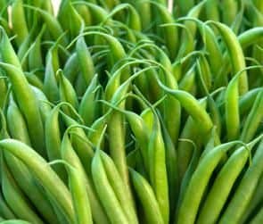 Haricot Verts Haricot Verts