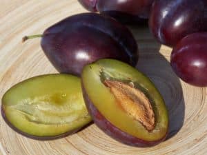 Country Plum Tart Country Plum Tart