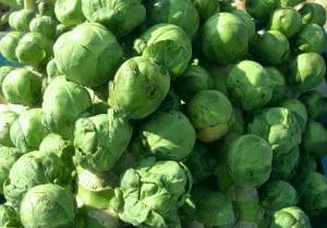 Brussels Sprouts 