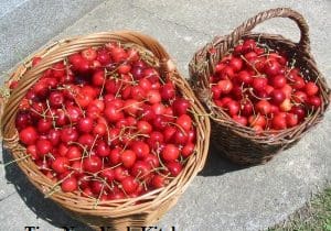 Cherries