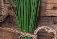 Chives