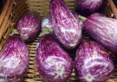 Eggplant