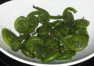 Fiddleheads