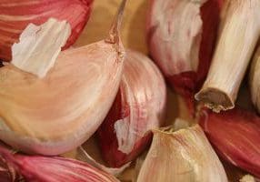 Garlic 5