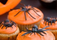 Creepy Crawly Cupcakes