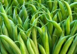 Haricot Verts