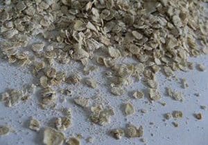 Oatmeal