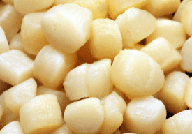 Scallops